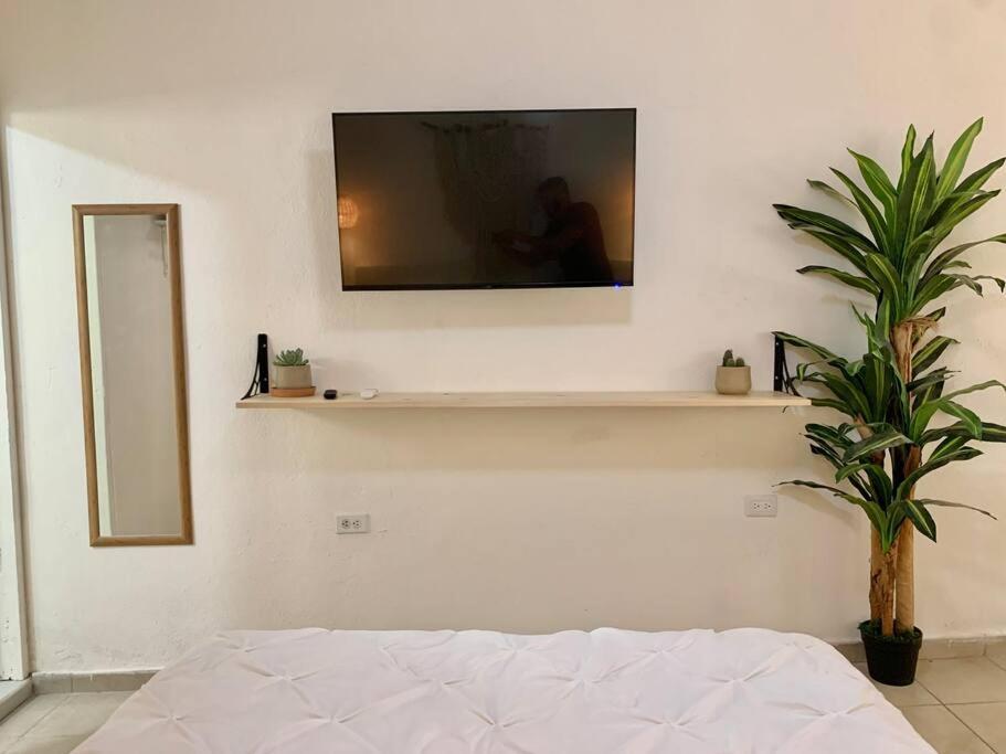 Apartamento Casa Anuiti Centrica Ubicacion. San José del Cabo Exterior foto